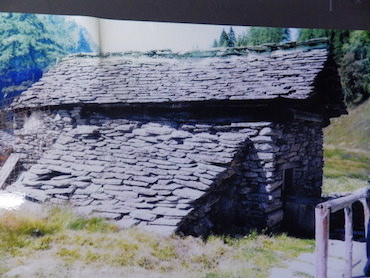 Campo