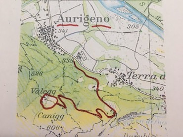 Aurigeno