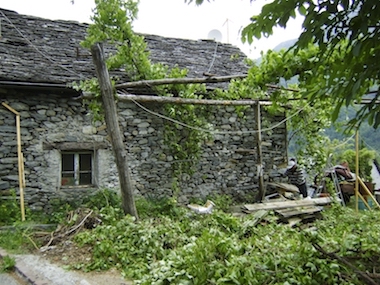 Aurigeno vorher